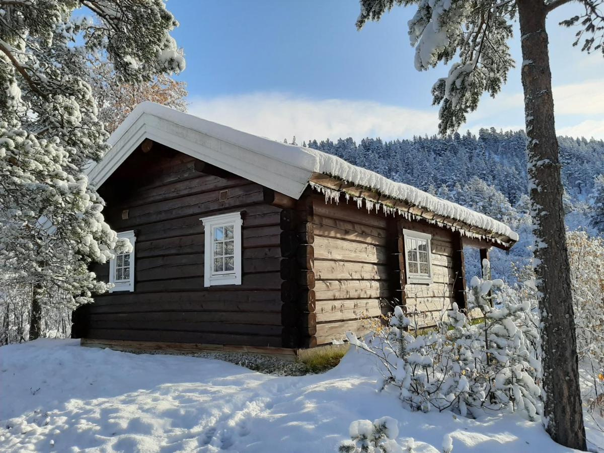 Rondane River Lodge - Rondane Gjestegard Enden Bagian luar foto