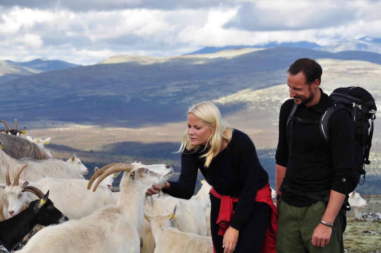 Rondane River Lodge - Rondane Gjestegard Enden Bagian luar foto
